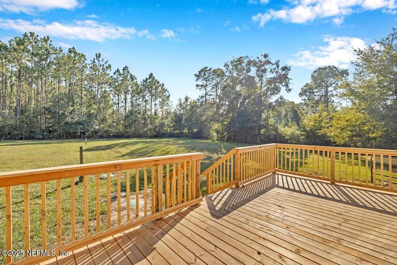315 Horsetail Ave, Middleburg, FL 32068