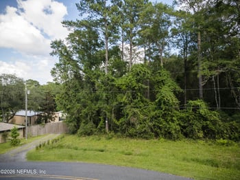 3206 County Road 215, Middleburg, FL 32068