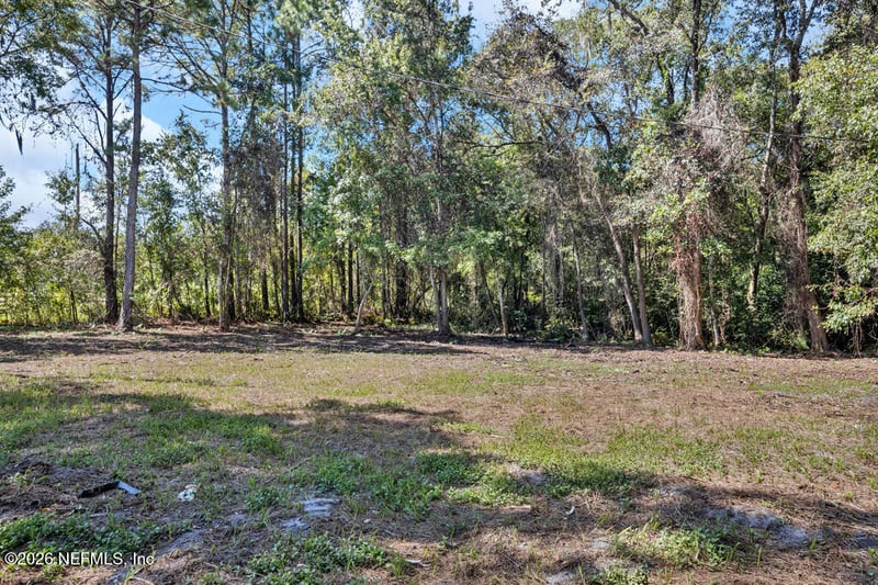 35 Orchid Ave, Middleburg, FL 32068