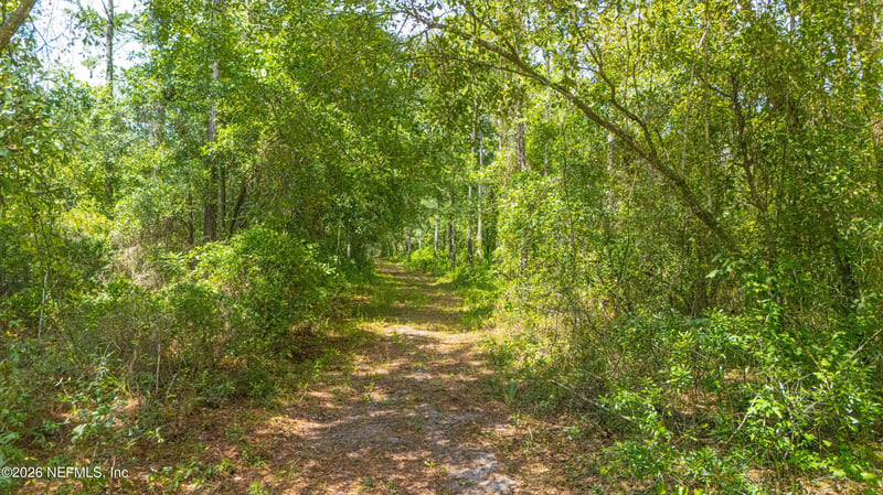 3650 Joe Ashton Rd, St Augustine, FL 32092