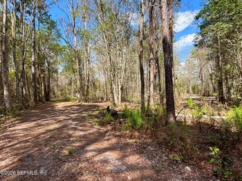 37125 Anna Marie Ln, Hilliard, FL 32046
