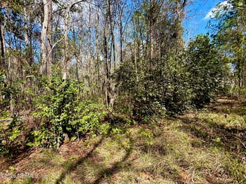 37125 Anna Marie Ln, Hilliard, FL 32046