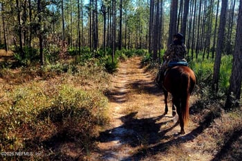3760 Old Jennings Rd, Middleburg, FL 32068