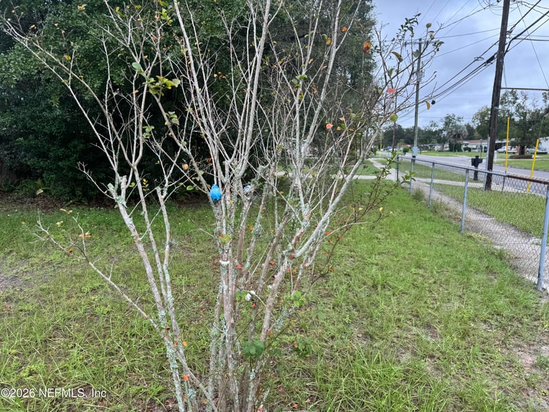 401 Gano Ave, Orange Park, FL 32073