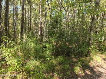 4122 Becky St, Middleburg, FL 32068