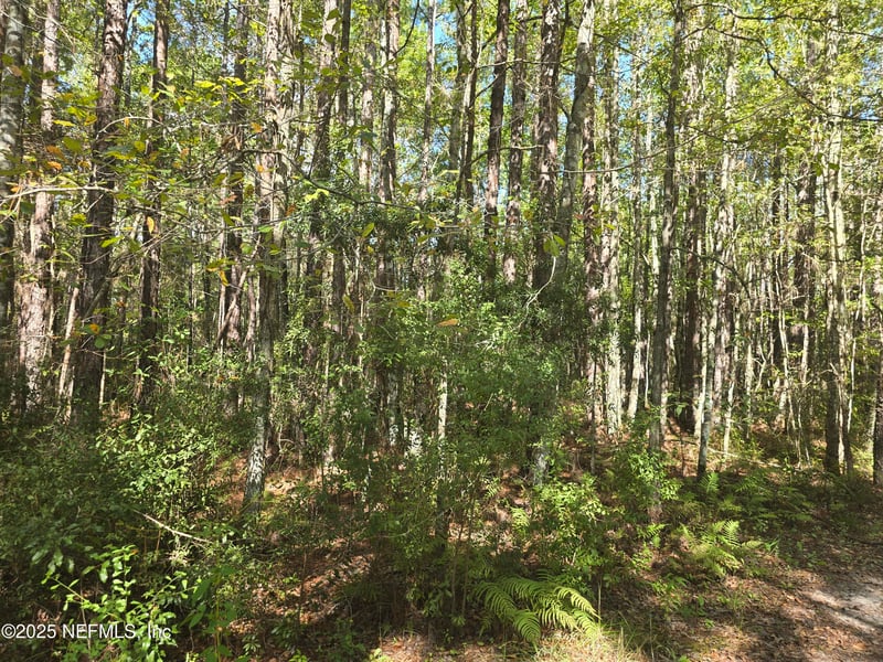 4122 Becky St, Middleburg, FL 32068