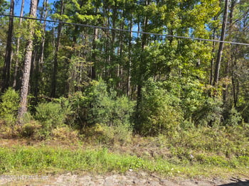 4122 Becky St, Middleburg, FL 32068