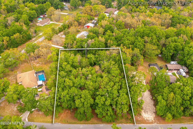 4194 Chokeberry Rd, Middleburg, FL 32068