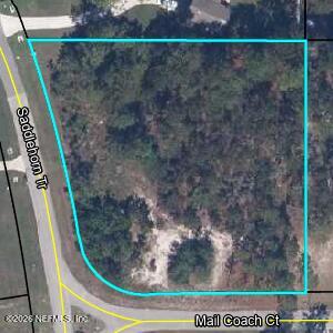 4200 Mail Coach Ct, Middleburg, FL 32068