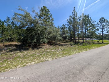 4200 Mail Coach Ct, Middleburg, FL 32068