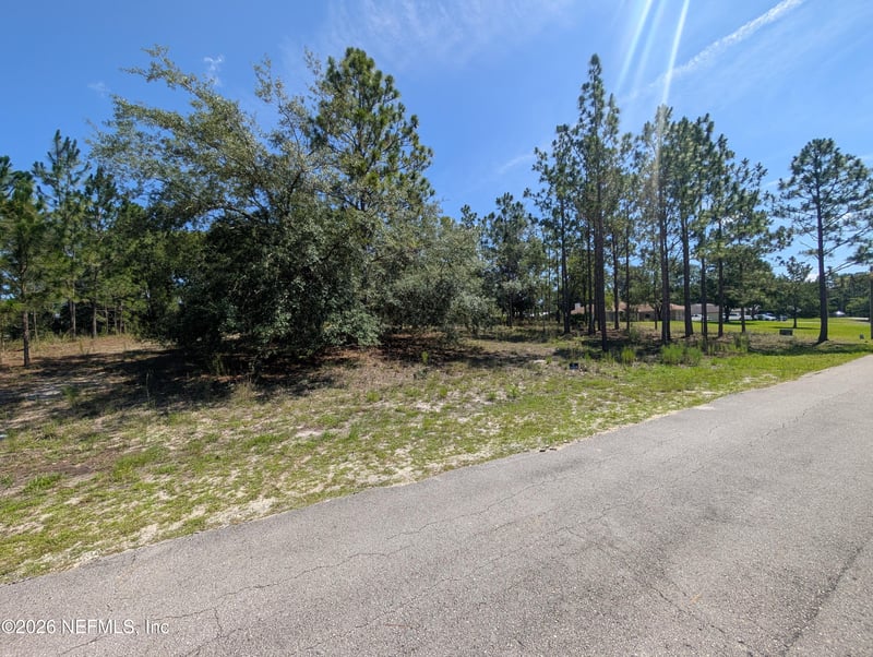 4200 Mail Coach Ct, Middleburg, FL 32068