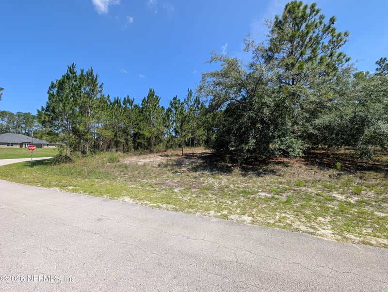 4200 Mail Coach Ct, Middleburg, FL 32068