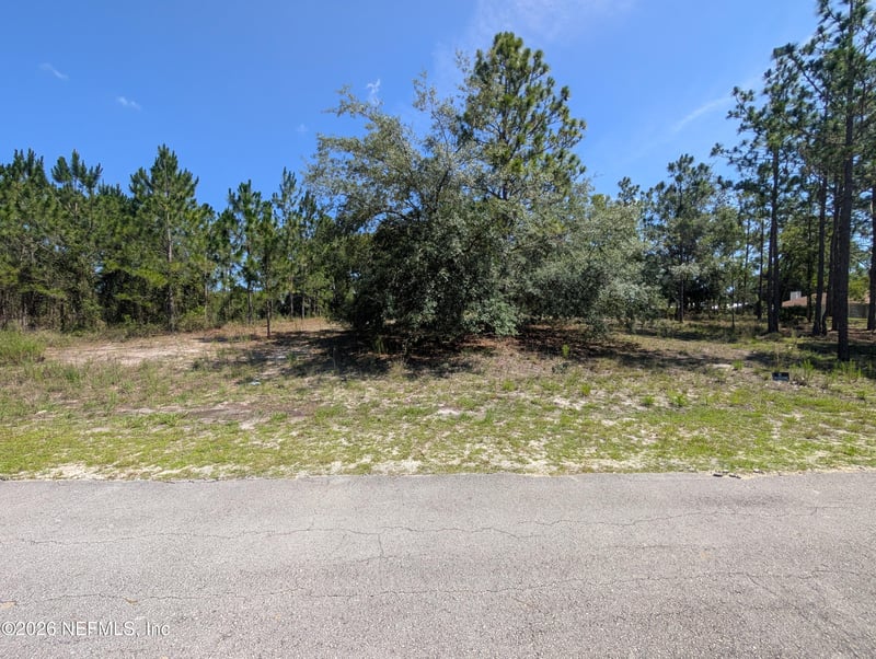 4200 Mail Coach Ct, Middleburg, FL 32068