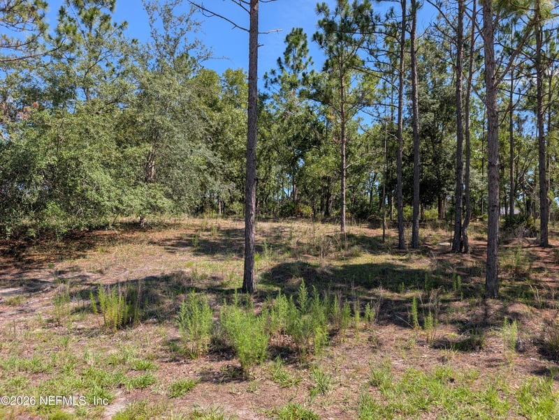 4200 Mail Coach Ct, Middleburg, FL 32068