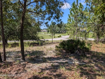 4200 Mail Coach Ct, Middleburg, FL 32068