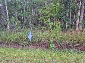 4245 Florence St, Hastings, FL 32145