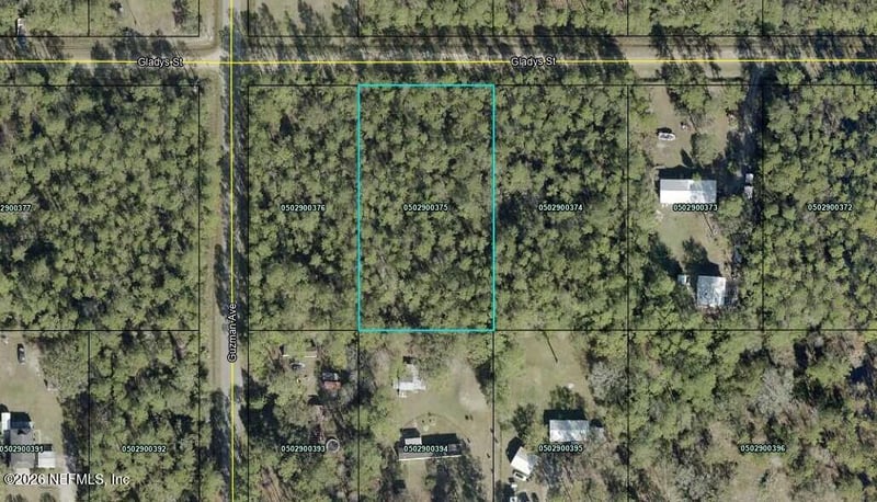 4265 Gladys St, Hastings, FL 32145