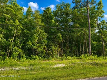 4311 Angora St, Middleburg, FL 32068