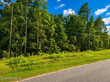 4311 Angora St, Middleburg, FL 32068