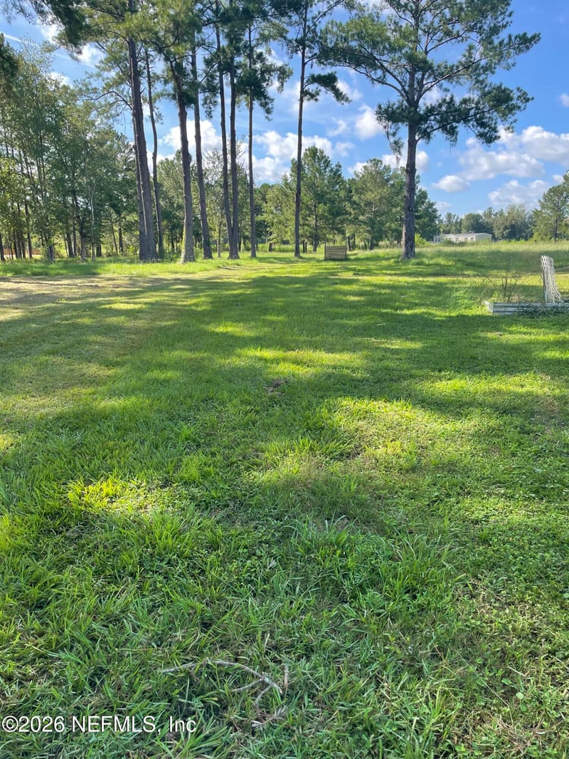 4321 Falcon Run Ln, Middleburg, FL 32068