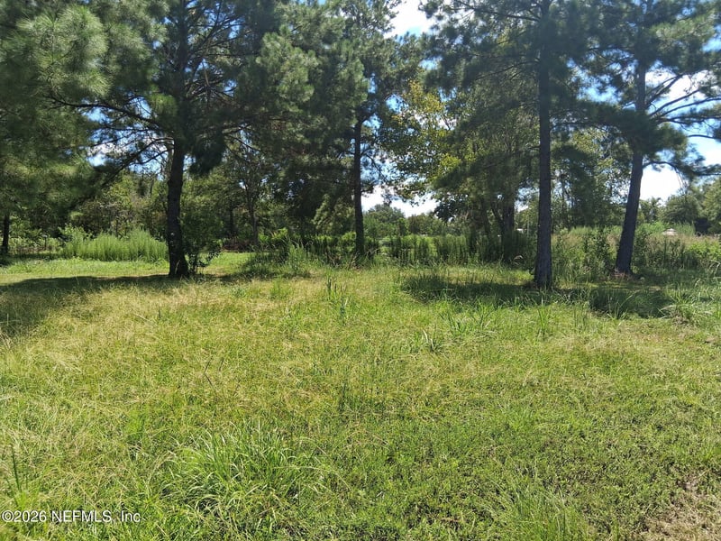 4321 Falcon Run Ln, Middleburg, FL 32068