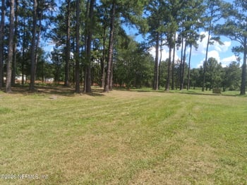 4321 Falcon Run Ln, Middleburg, FL 32068