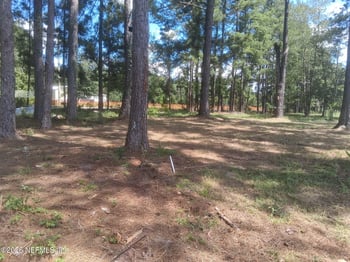 4321 Falcon Run Ln, Middleburg, FL 32068