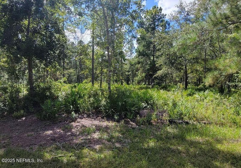 4329 Bondarenko Rd, Keystone Heights, FL 32656