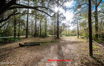 4333 Hawk Haven Rd, Middleburg, FL 32068