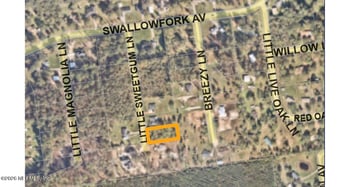 44046 Little Sweetgum Ln, Callahan, FL 32011