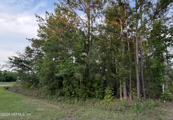 44046 Little Sweetgum Ln, Callahan, FL 32011