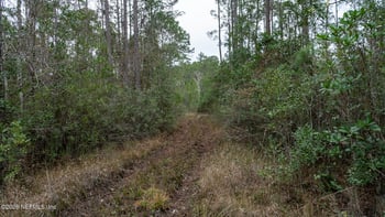 4405 State Road 206 W, Elkton, FL 32033