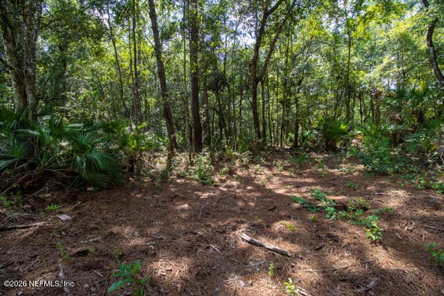 4406 Lori Loop Rd, Keystone Heights, FL 32656