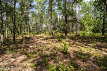 4410 Lori Loop Rd, Keystone Heights, FL 32656