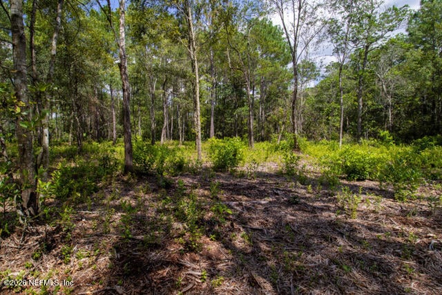 4410 Lori Loop Rd, Keystone Heights, FL 32656