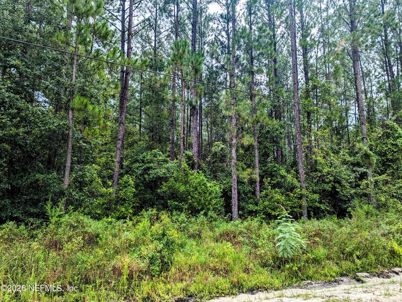 4436 Lori Loop Rd, Keystone Heights, FL 32656