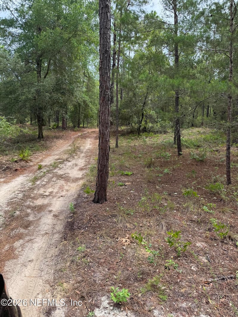 4477 M Lake Rd, Keystone Heights, FL 32656