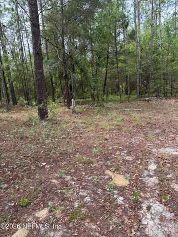 4477 M Lake Rd, Keystone Heights, FL 32656