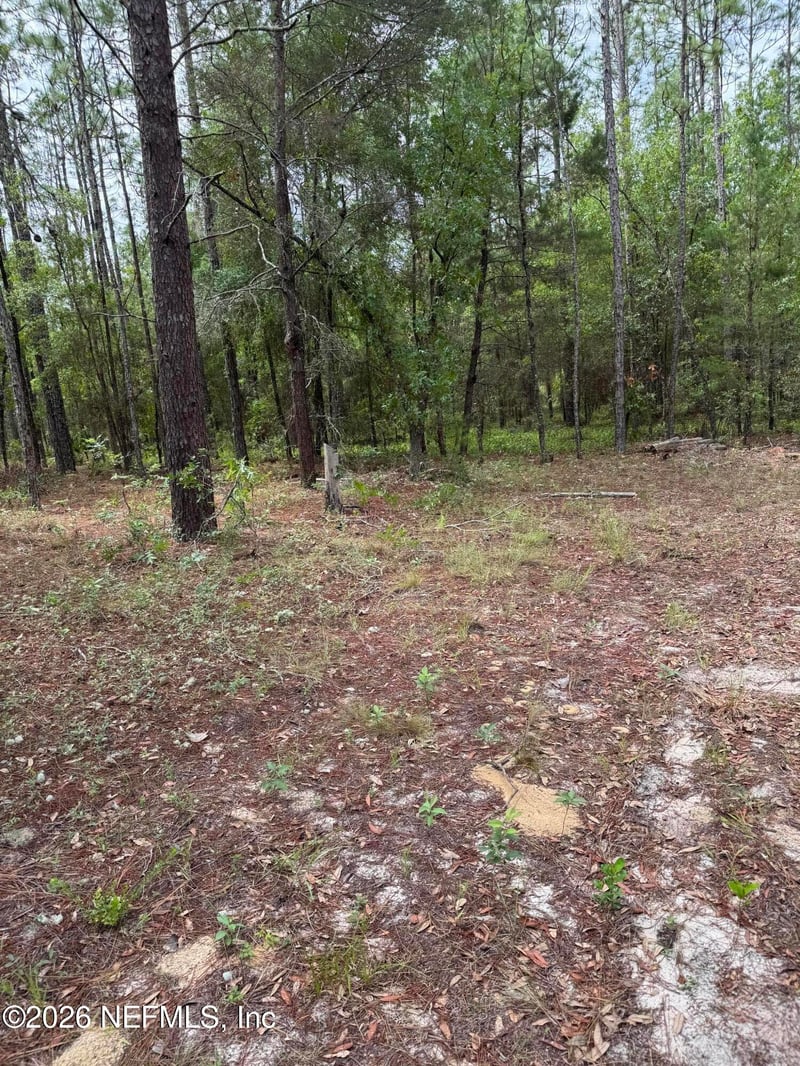 4477 M Lake Rd, Keystone Heights, FL 32656