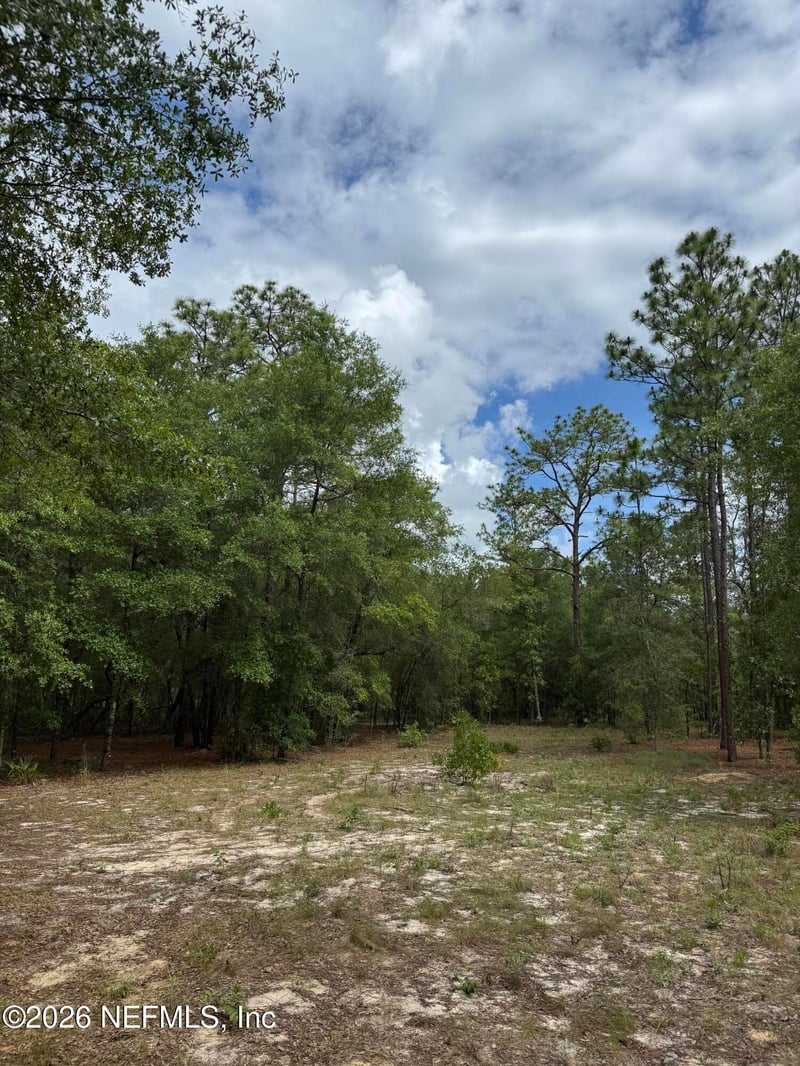 4477 M Lake Rd, Keystone Heights, FL 32656