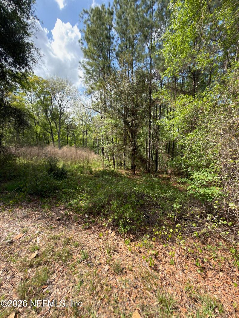4501 Tarragon Ave, Middleburg, FL 32068