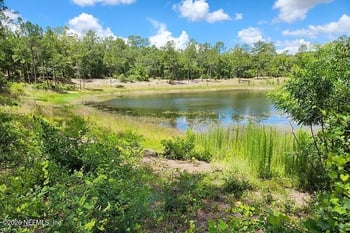 4534 Alan Lake Rd, Keystone Heights, FL 32656