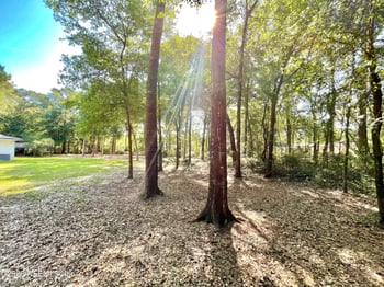 4583 Alligator Blvd, Middleburg, FL 32068
