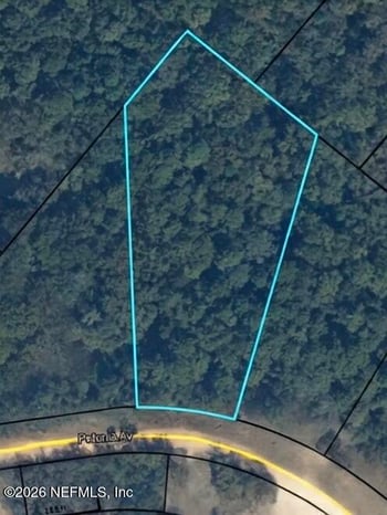 4688 Petunia Ave, Middleburg, FL 32068