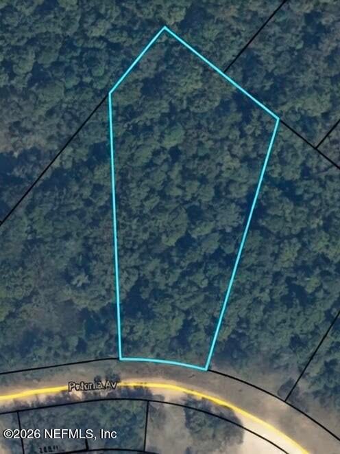 4688 Petunia Ave, Middleburg, FL 32068