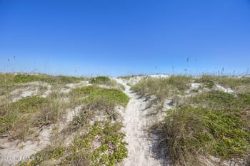 4694 Carlton Dunes Dr #1401, Fernandina Beach, FL 32034