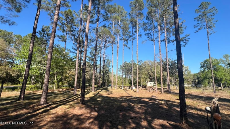 4698 Helena St, Hastings, FL 32145