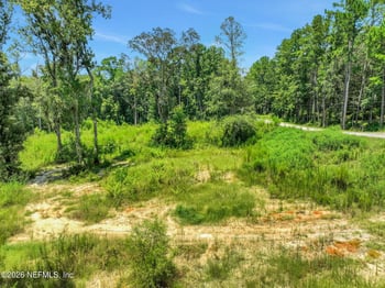 4785 Gopher Cir, Middleburg, FL 32068