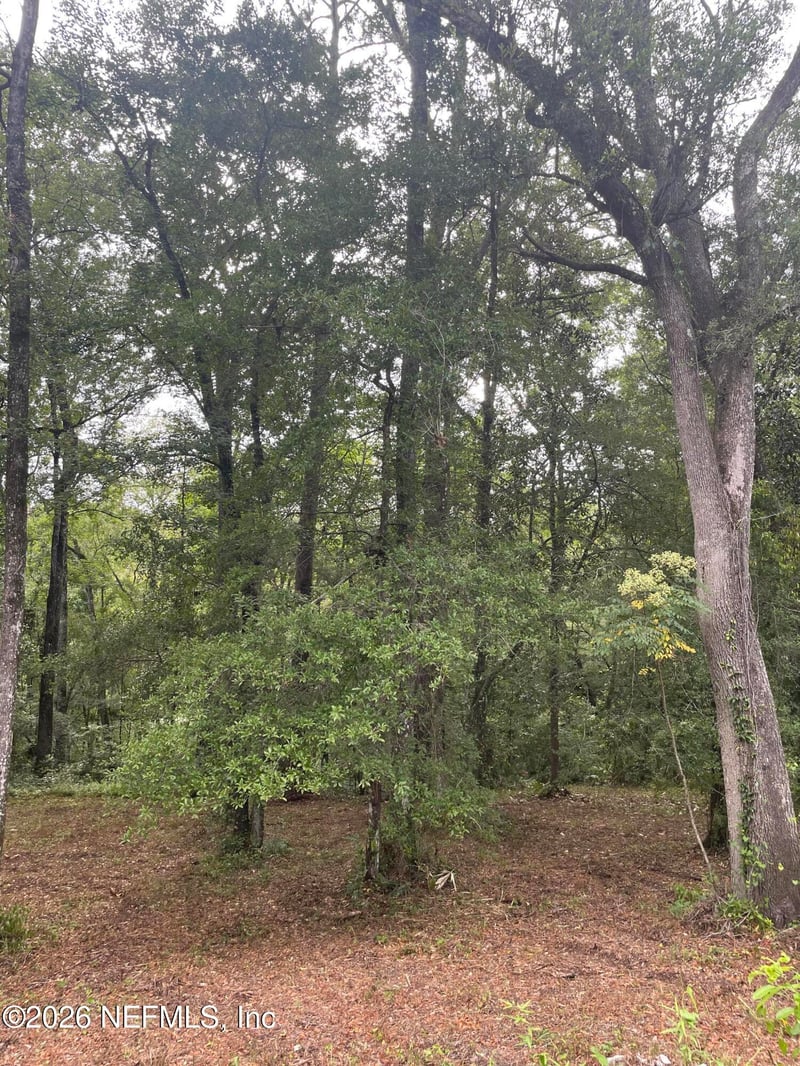 4819 Gopher Cir, Middleburg, FL 32068