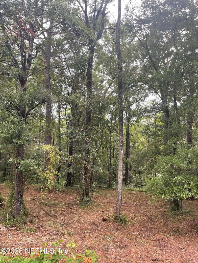 4819 Gopher Cir, Middleburg, FL 32068